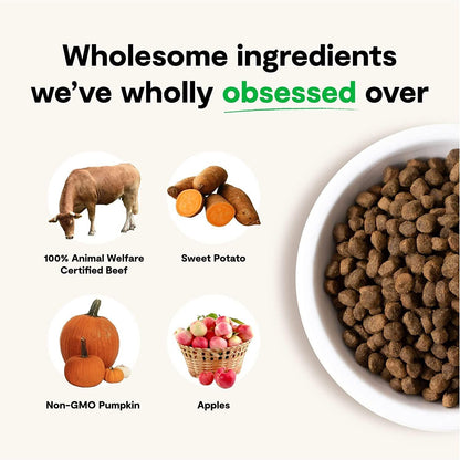 Open Farm Dog Food Grass Fed Beef - 1.81 Kg - Dog Food - Open Farm - PetMax Canada