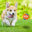 Nerf Puppy & Small Dog TPR Ball Dog Toy  Dog Toys  | PetMax Canada