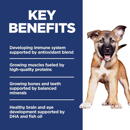 Science Diet Canine Puppy Large Breed Lamb