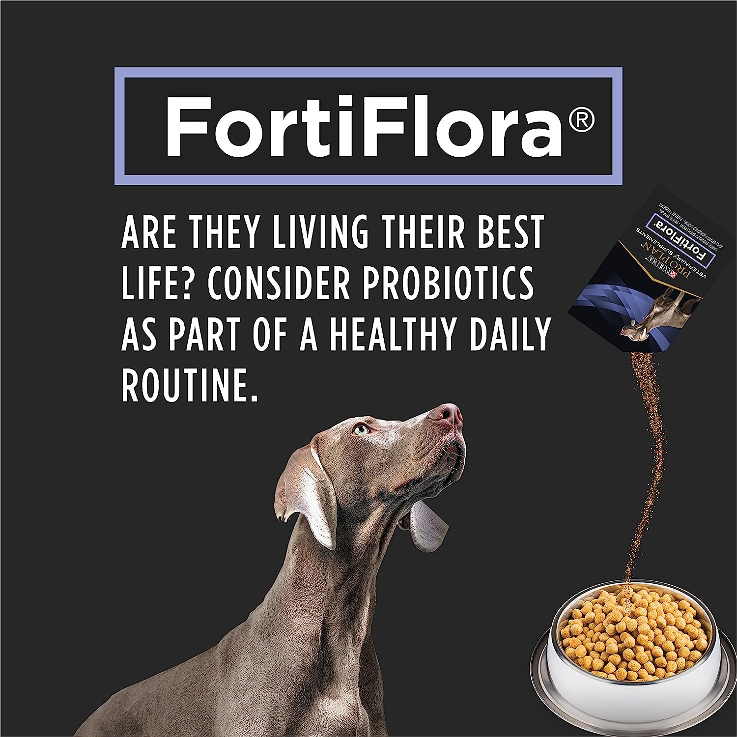 Purina Pro Plan Veterinary FortiFlora Supplément probiotique pour chie –  PetMax