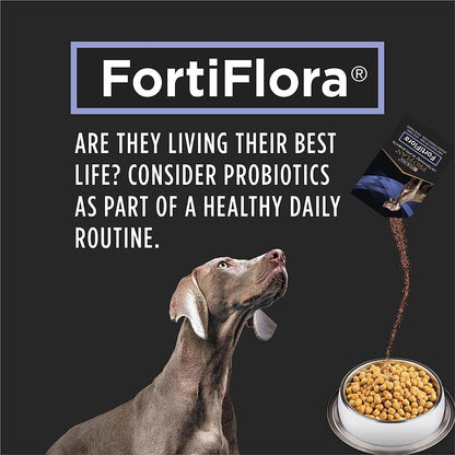 Purina Pro Plan Veterinary FortiFlora Probiotic Dog Supplement - 30g - Dog Supplies - Purina Pro Plan - PetMax Canada
