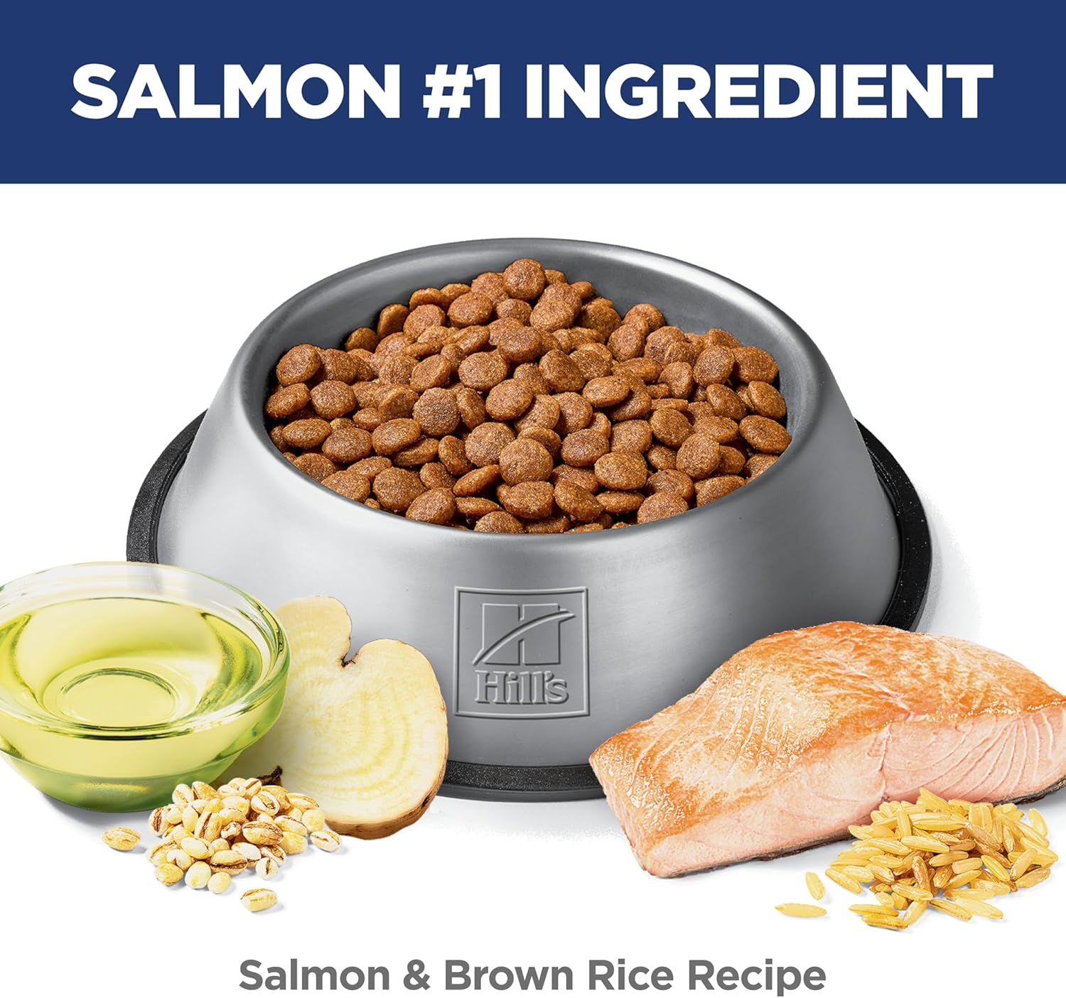 Hill's Science Diet Adult Sensitive Stomach & Skin Salmon Recipe Dry Dog Food