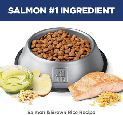 Hill's Science Diet Adult Sensitive Stomach & Skin Salmon Recipe Dry Dog Food