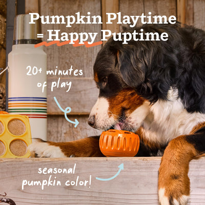Woof Pupsicle Treat Dispenser Dog Toy - Pumpkin - Large dog licking the Pumpkin Pupsicle - Woof - PetMax Canada