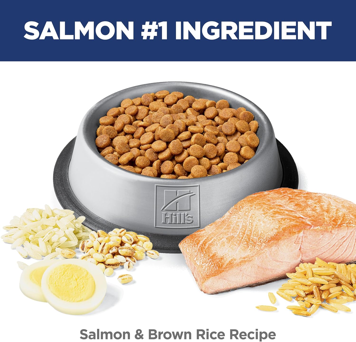 Hill's Science Diet Adult Sensitive Stomach & Skin Salmon Recipe Dry Cat Food