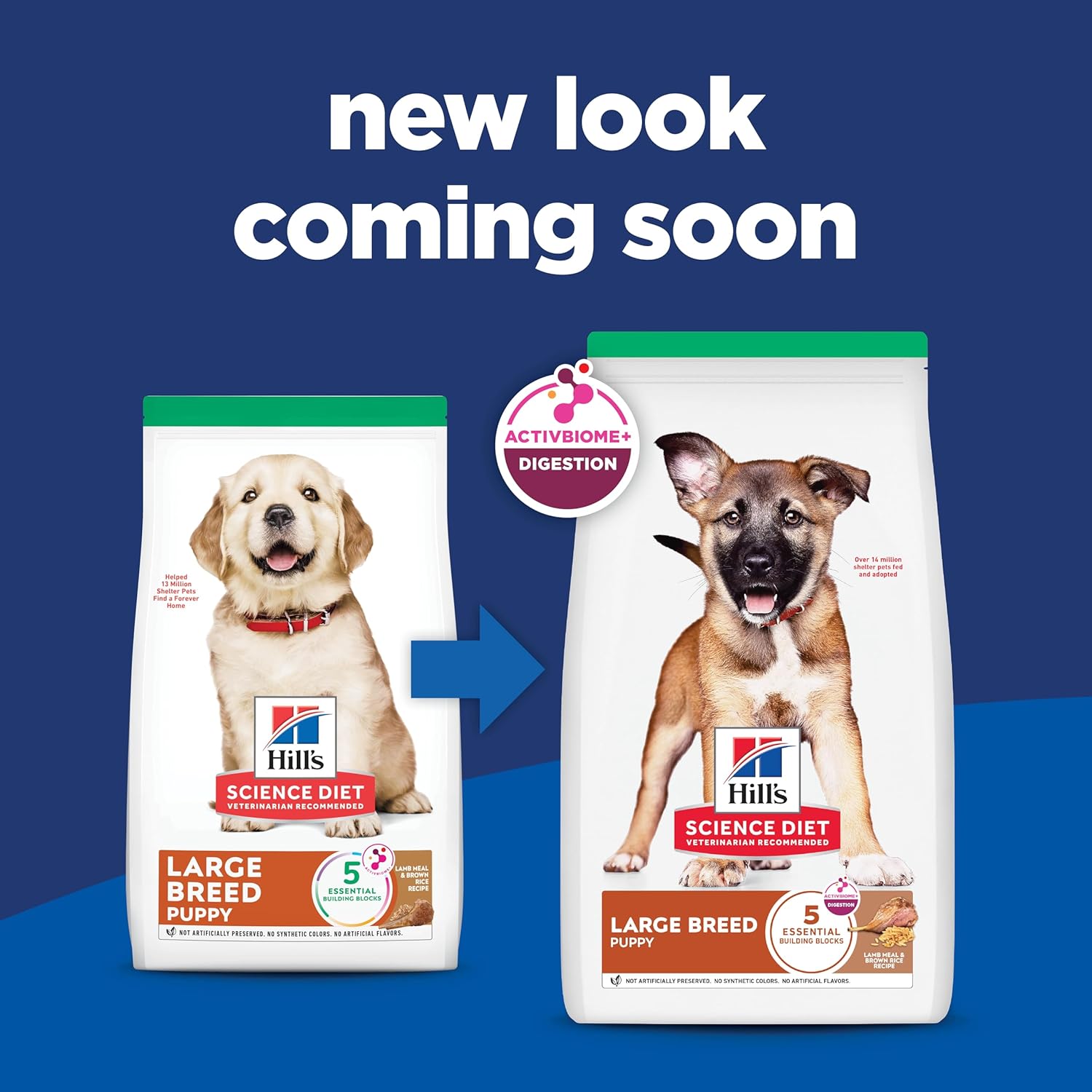 Science Diet Canine Puppy Large Breed Lamb