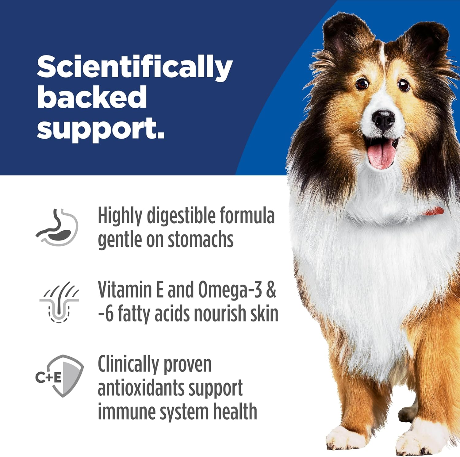 Hill's Science Diet Adult Sensitive Stomach & Skin Salmon Recipe Dry Dog Food