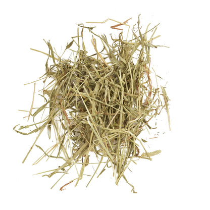F.M. Brown Tropical Carnival Play Barn with Hay