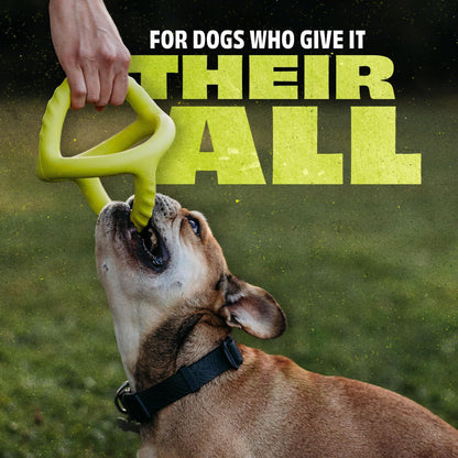 Benebone Natural Rubber Tug Dog Toy