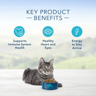 Blue Buffalo Tastefuls Natural Chicken Adult 7+ Dry Cat Food - Image 4 - Blue Buffalo - PetMax Canada
