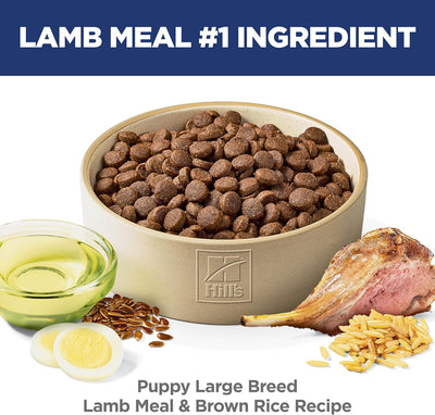Science Diet Canine Puppy Large Breed Lamb