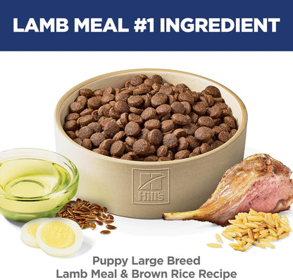 Science Diet Canine Puppy Large Breed Lamb