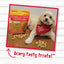 Charlee Bear Grain Free Crunch Chicken, Pumpkin & Apple Dog Treats  Dog Treats  | PetMax Canada