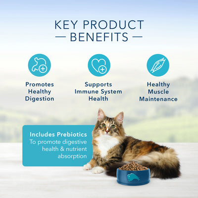 Blue Buffalo Tastefuls Sensitive Stomach Natural Chicken Adult Dry Cat Food - Image 4 - Blue Buffalo - PetMax Canada