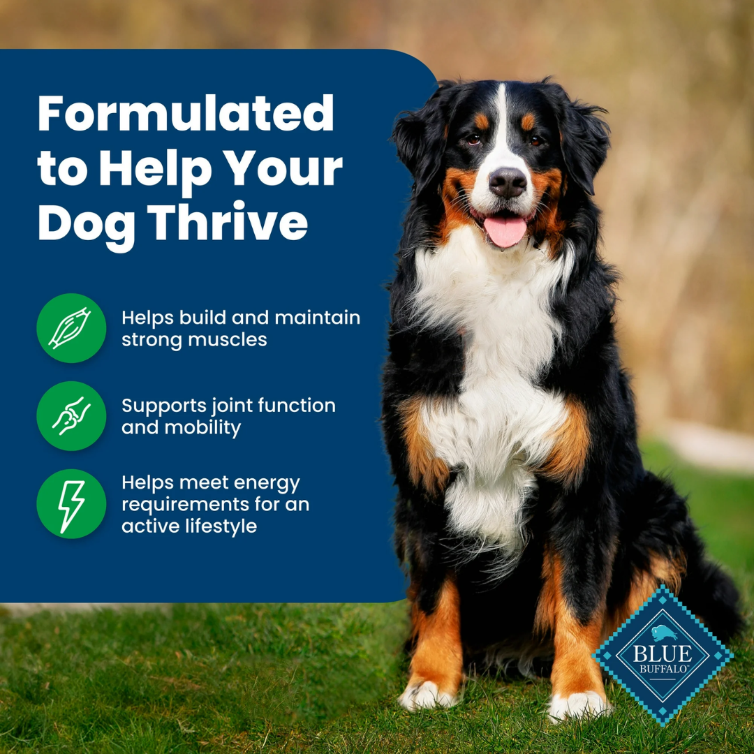 Blue Buffalo Life Protection Dog Food Lamb & Rice - Image 3 - Blue Buffalo - PetMax Canada