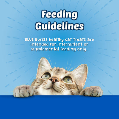 Blue Buffalo Bursts Crunchy Cat Treats Chicken Flavour - Image 6 - Blue Buffalo - PetMax Canada