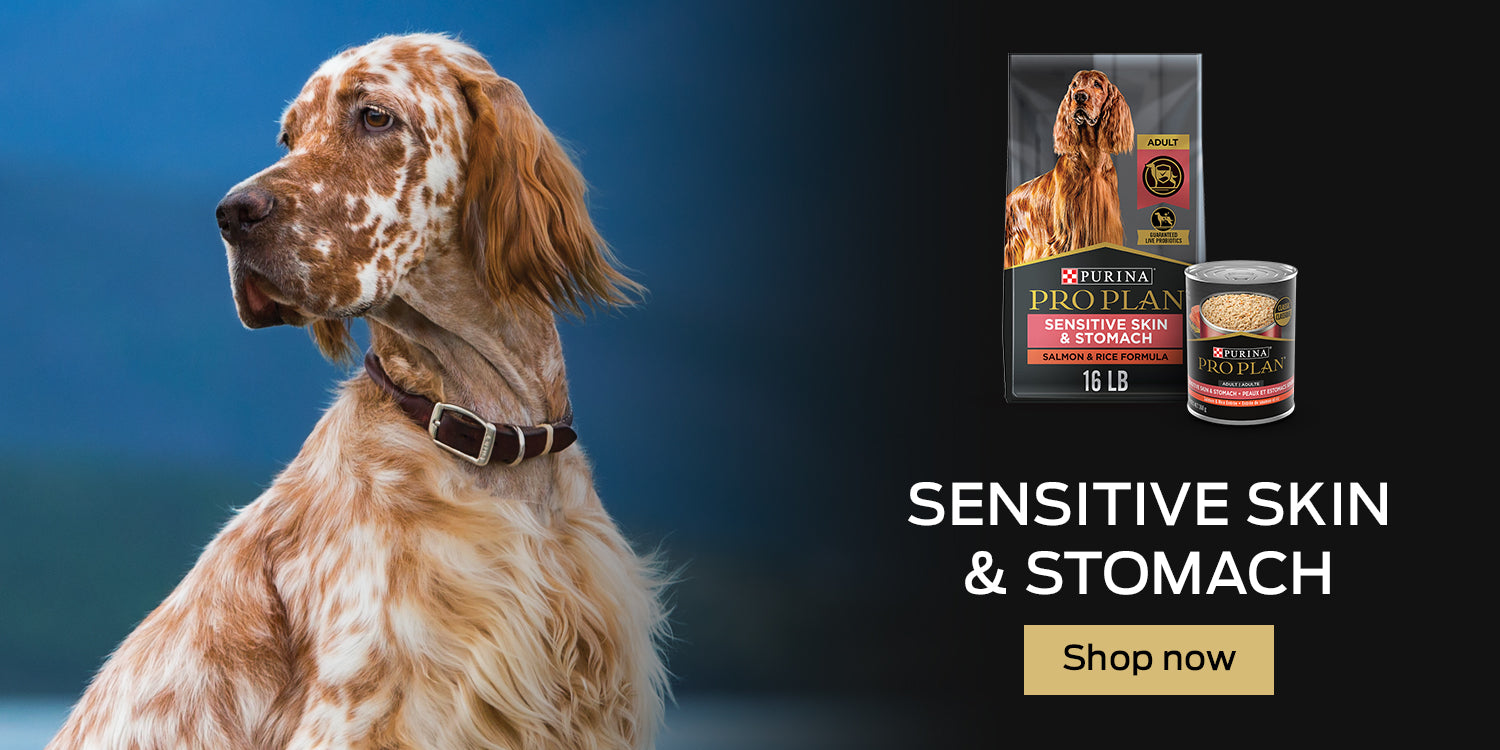 Buy Pro Plan Sensitive Skin and Stomach Dog Food Online in Canada at PetMax.ca