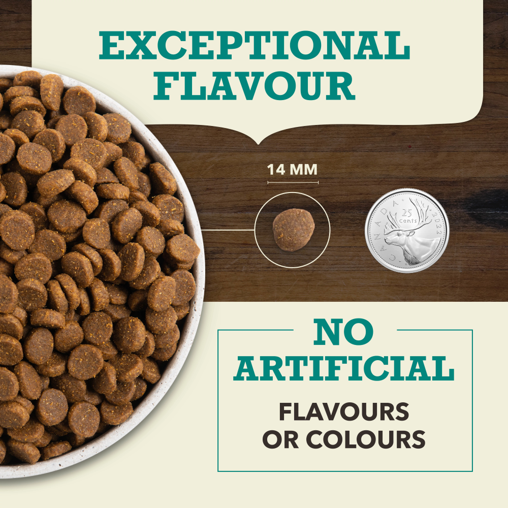 Acana Coldwater Fish Recipe Dry Dog Food - Kibble Size - Acana - PetMax Canada