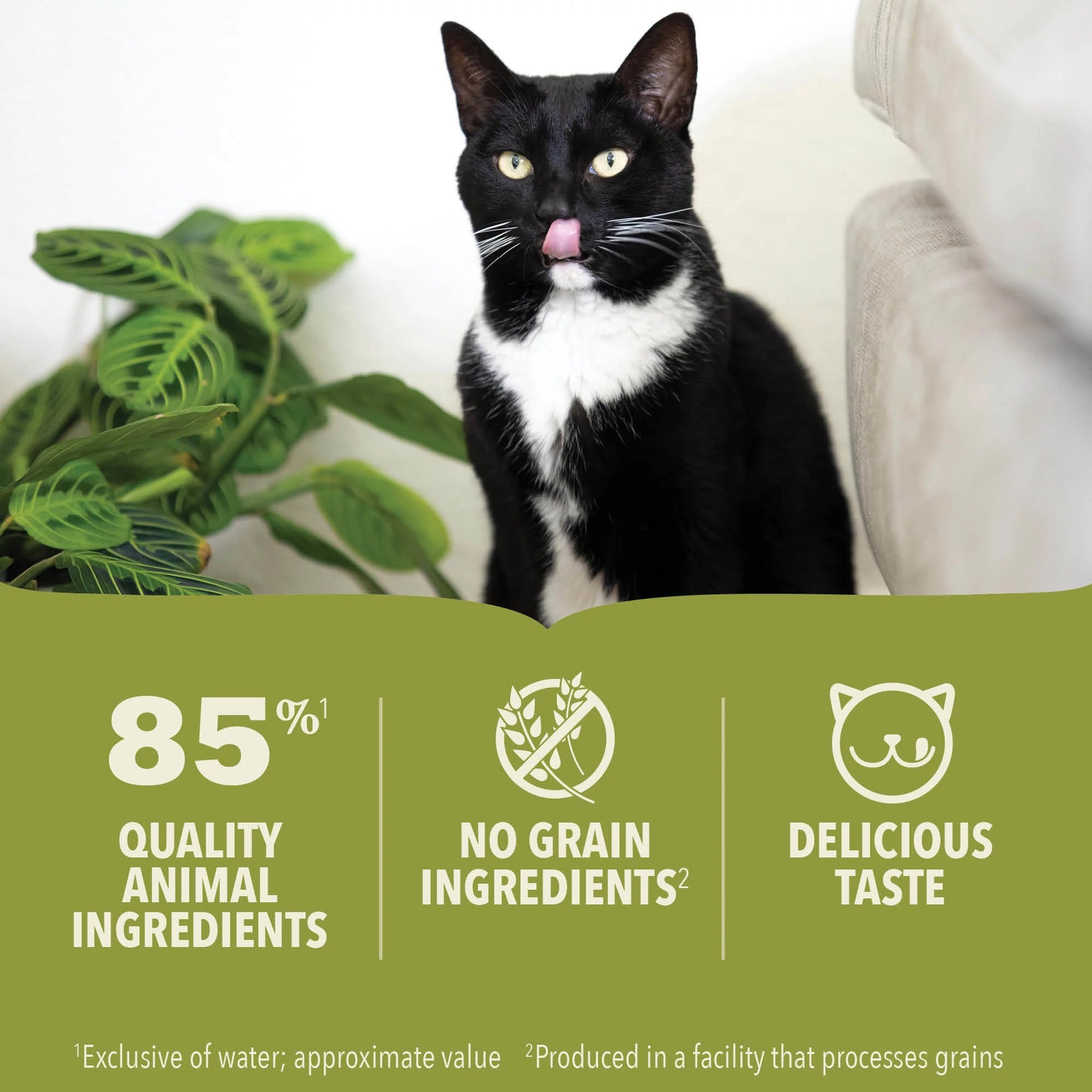 Acana Wet Cat Food Beef Recipe In Bone Broth  Canned Cat Food  | PetMax Canada