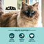 Acana Premium Cat Food Bountiful Catch Recipe  Cat Food  | PetMax Canada