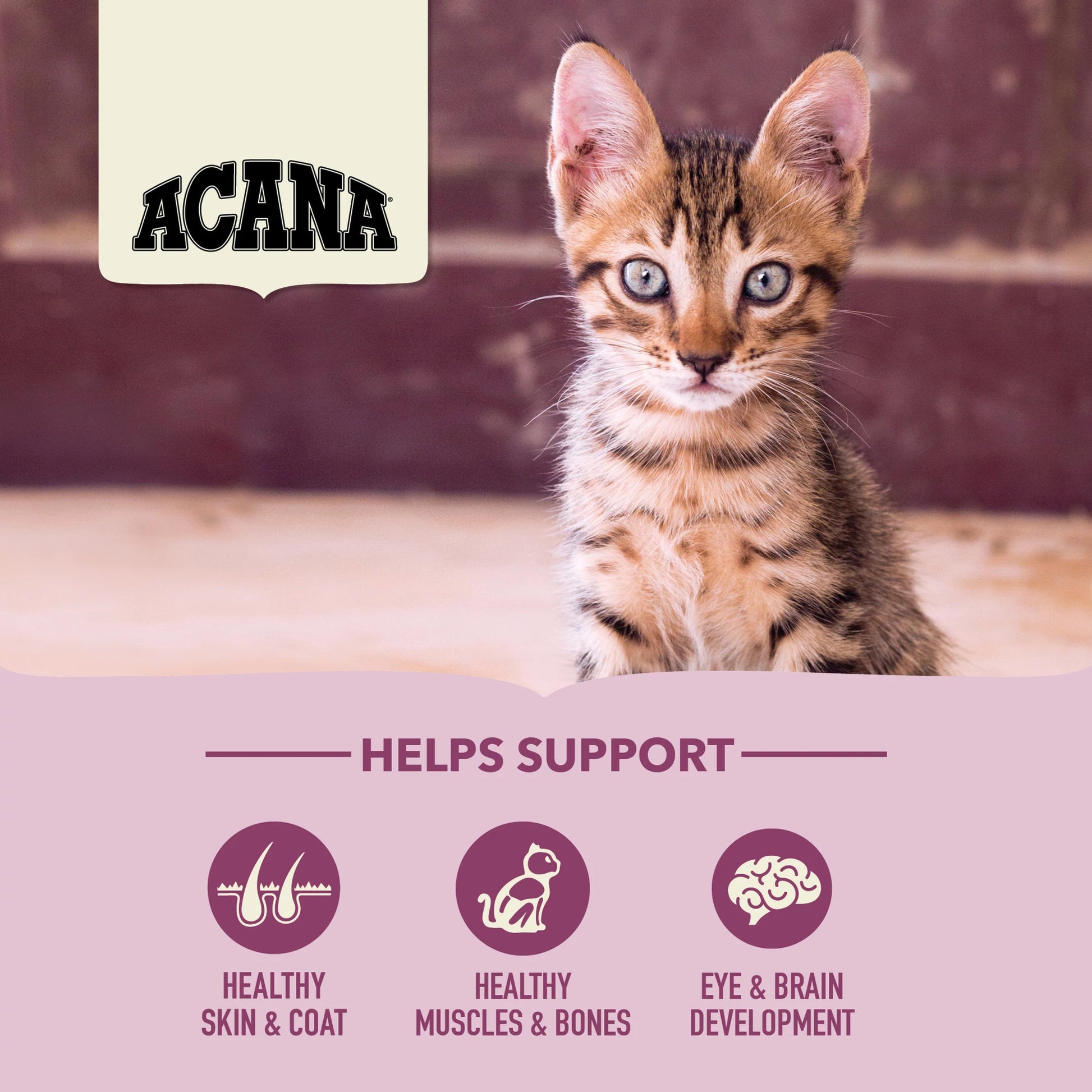 Acana Premium Kitten First Feast Recipe  Cat Food  | PetMax Canada