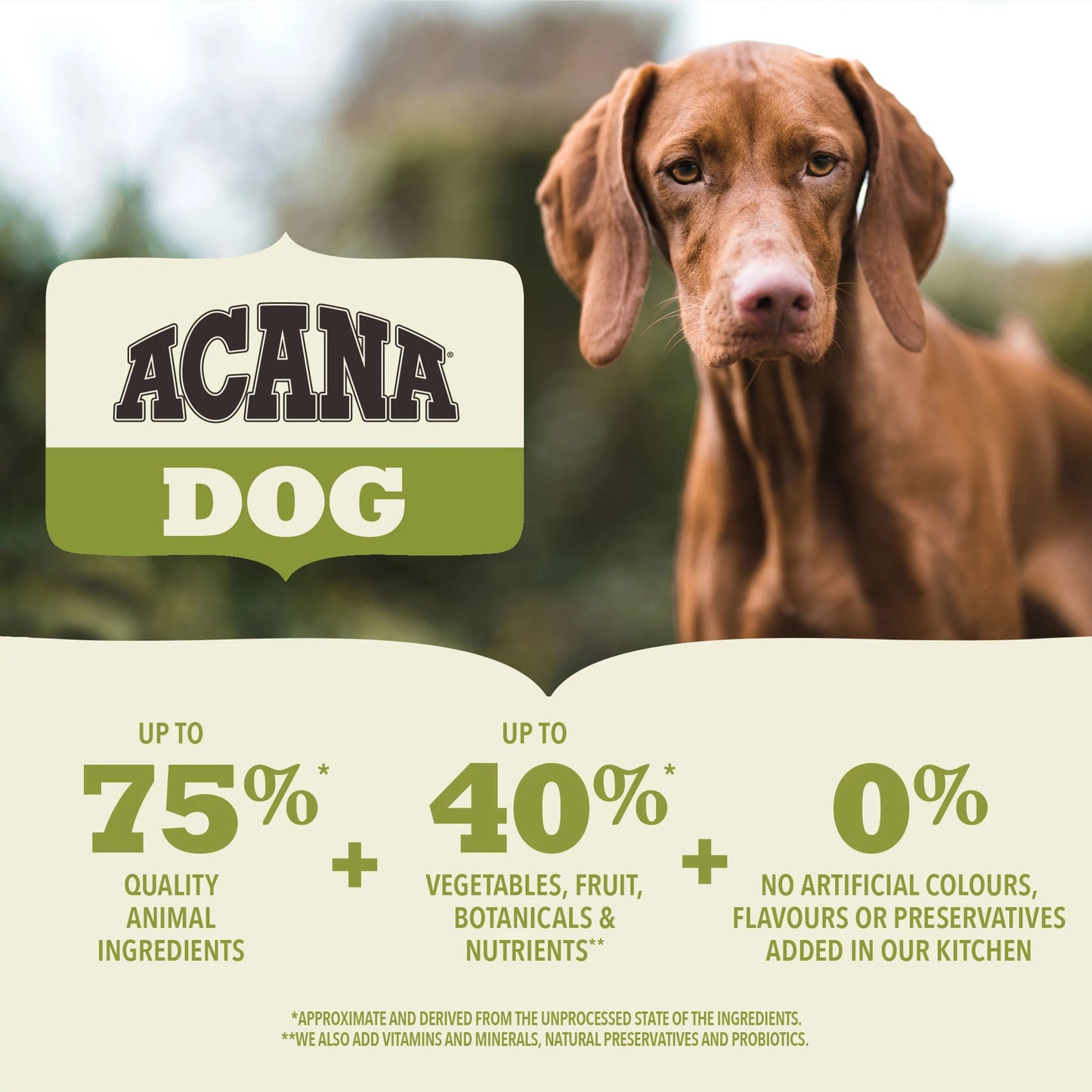 Acana Senior Dry Dog Food Recipe  Dog Food  | PetMax Canada