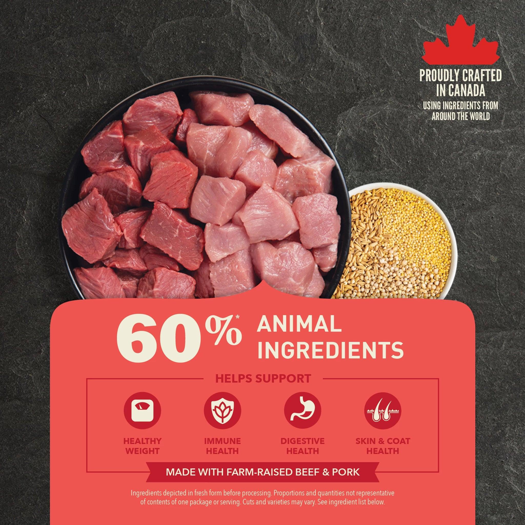 Acana Healthy Grains Ranch Raised Red Meat Dry Dog Food Recipe - 1.8 Kg - Dog Food - Acana - PetMax Canada