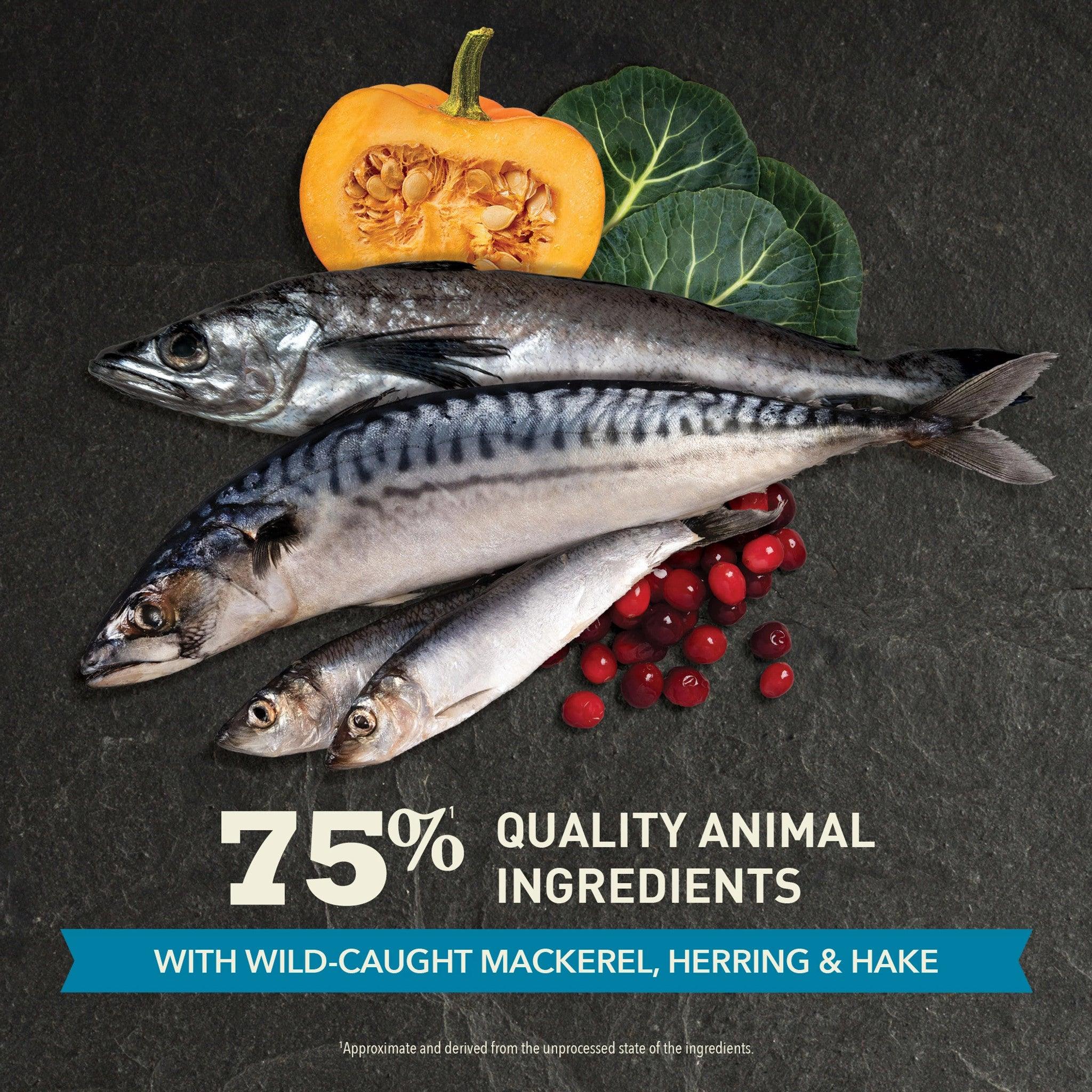 Acana Super Premium Cat Food Pacifica Recipe - 1.8 Kg - Cat Food - Acana - PetMax Canada