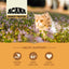 Acana Super Premium Cat Food Wild Prairie Recipe  Cat Food  | PetMax Canada