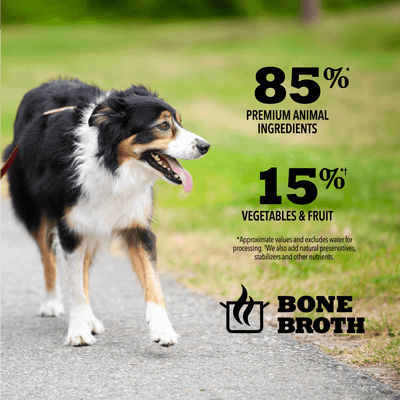 Acana Wet Dog Food Beef Recipe In Bone Broth - 363g - Canned Dog Food - Acana - PetMax Canada