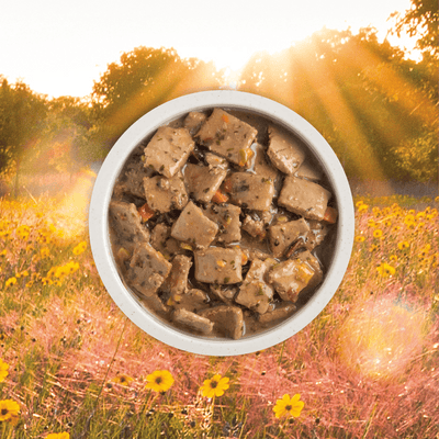 Acana Wet Dog Food Duck Recipe In Bone Broth - 363g - Canned Dog Food - Acana - PetMax Canada