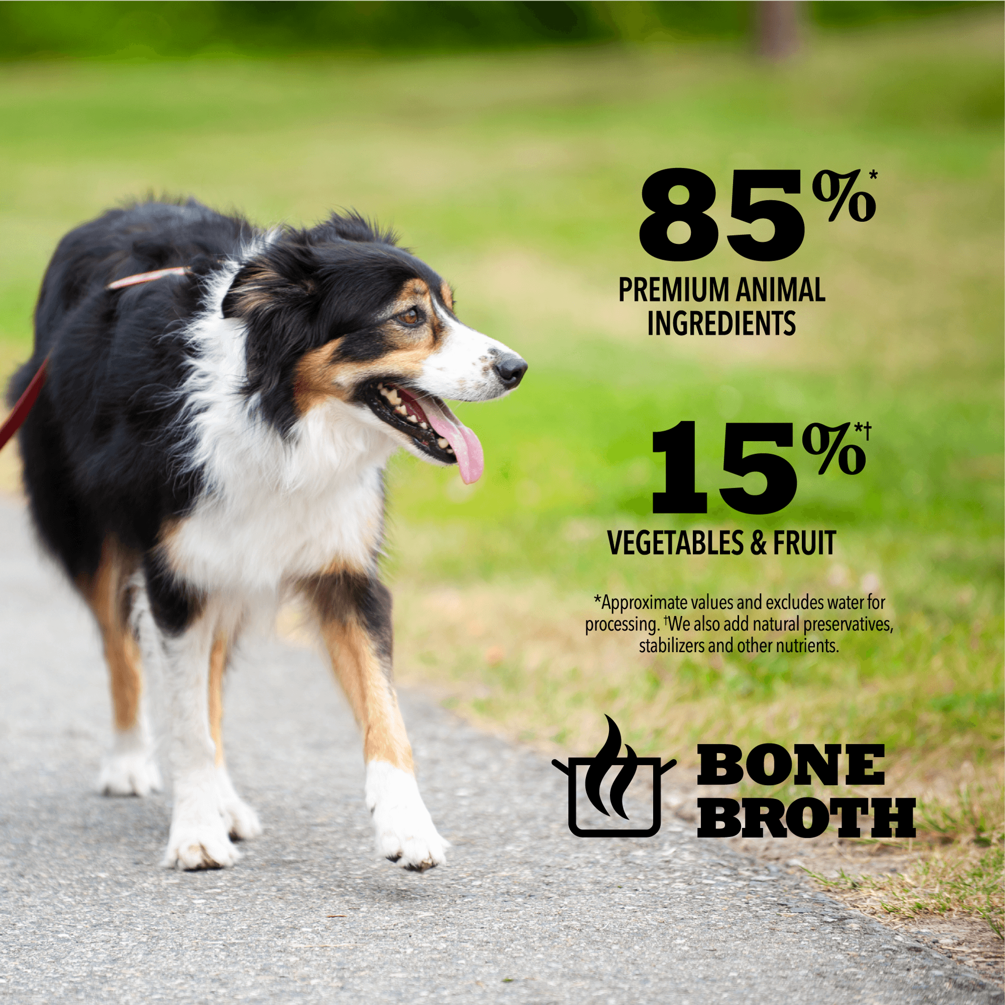 Acana Wet Dog Food Duck Recipe In Bone Broth - 363g - Canned Dog Food - Acana - PetMax Canada