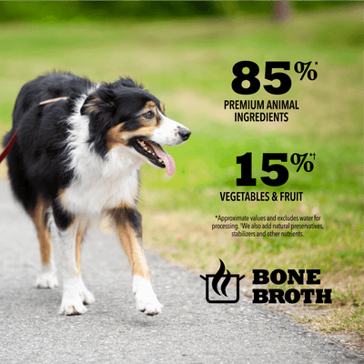 Acana Wet Dog Food Duck Recipe In Bone Broth - 363g - Canned Dog Food - Acana - PetMax Canada