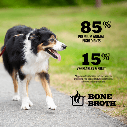 Acana Wet Dog Food Duck Recipe In Bone Broth - 363g - Canned Dog Food - Acana - PetMax Canada