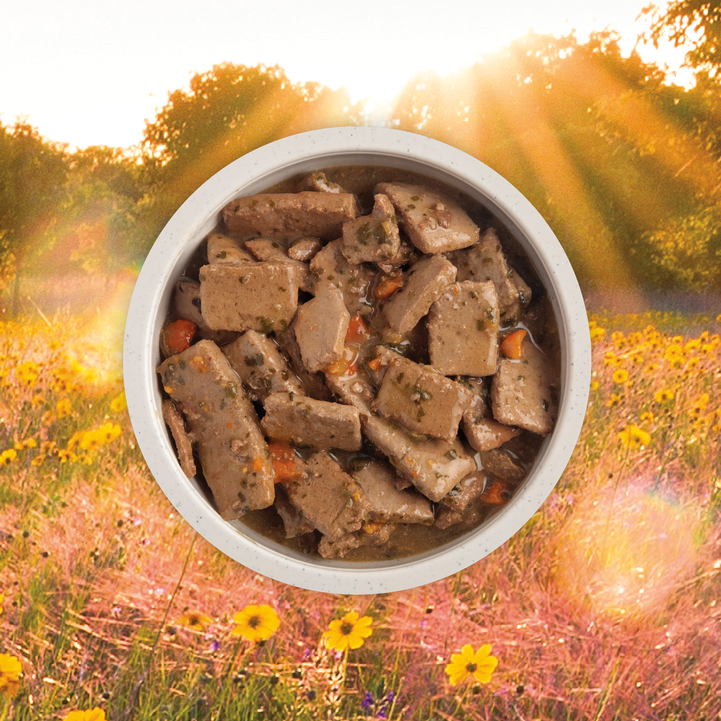 Acana Wet Dog Food Lamb Recipe In Bone Broth  Canned Dog Food  | PetMax Canada