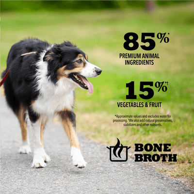 Acana Wet Dog Food Lamb Recipe In Bone Broth - 363g - Canned Dog Food - Acana - PetMax Canada