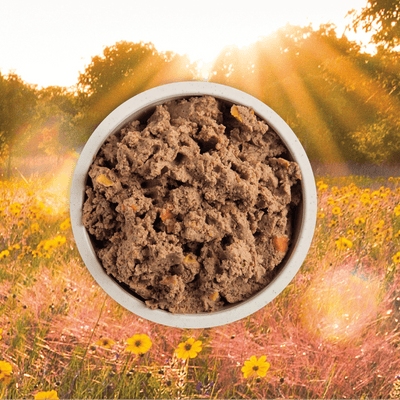 Acana Wet Dog Food Puppy Recipe In Bone Broth - 363g - Canned Dog Food - Acana - PetMax Canada