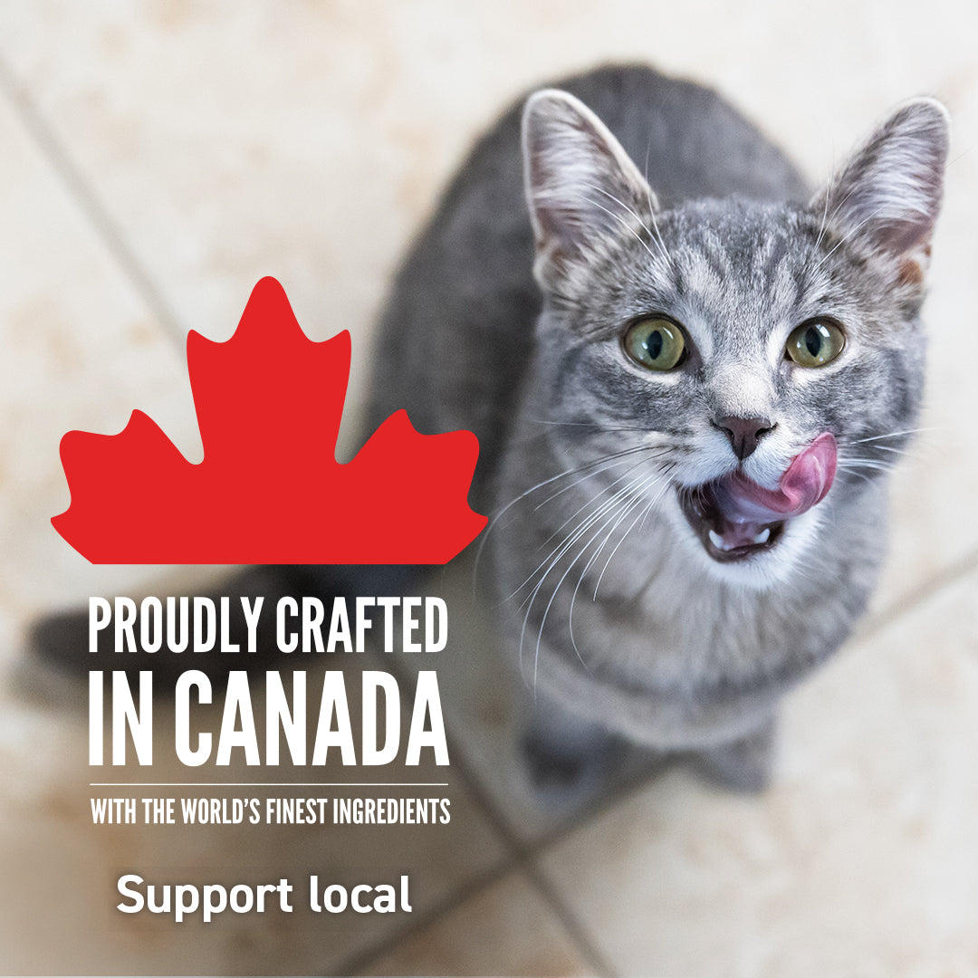 Acana Cat Food is Proudly Crafted in Canada and Available Online at PetMax.ca