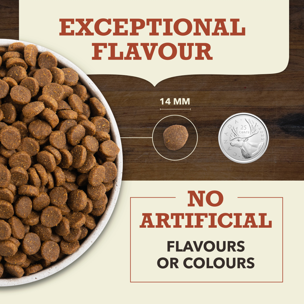Acana Singles Limited Ingredient Diet Beef & Pumpkin Dry Dog Food Recipe - Kibble Size - Acana - PetMax Canada