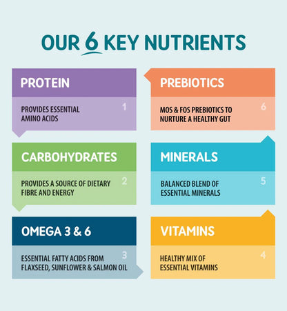 Naturo Canine Adult Grain & Gluten Free Turkey in a Herb Gravy Canned Dog Food