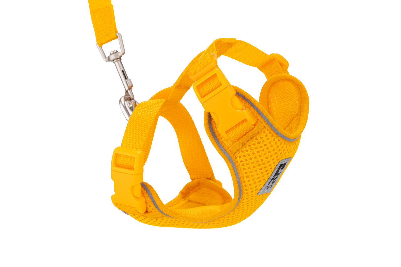 Rc Pet Adventure Kitty Harness Marigold