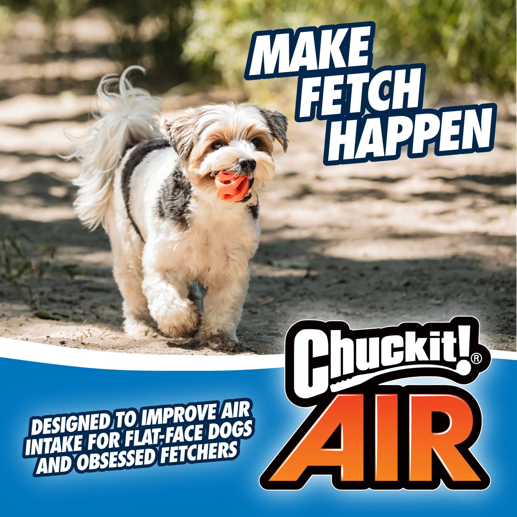 Chuck It Breathe Right Récupère la balle