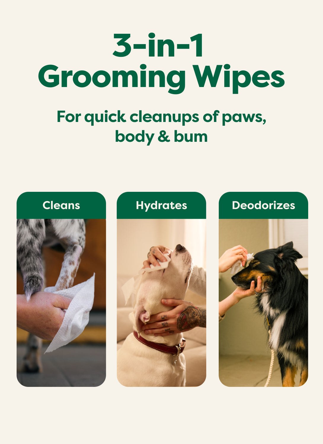 Earth Rated 3-in-1 All Purpose Dog Grooming Wipes - Lavender Scented - 3-in-1 Cleans, Hydrates and Deodorizes - PetMax Canada
