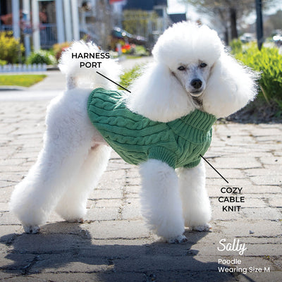 Shedrow K9 Brentwood Cable Knit Sweater English Ivy - Clothing - Shedrow K9 - PetMax Canada