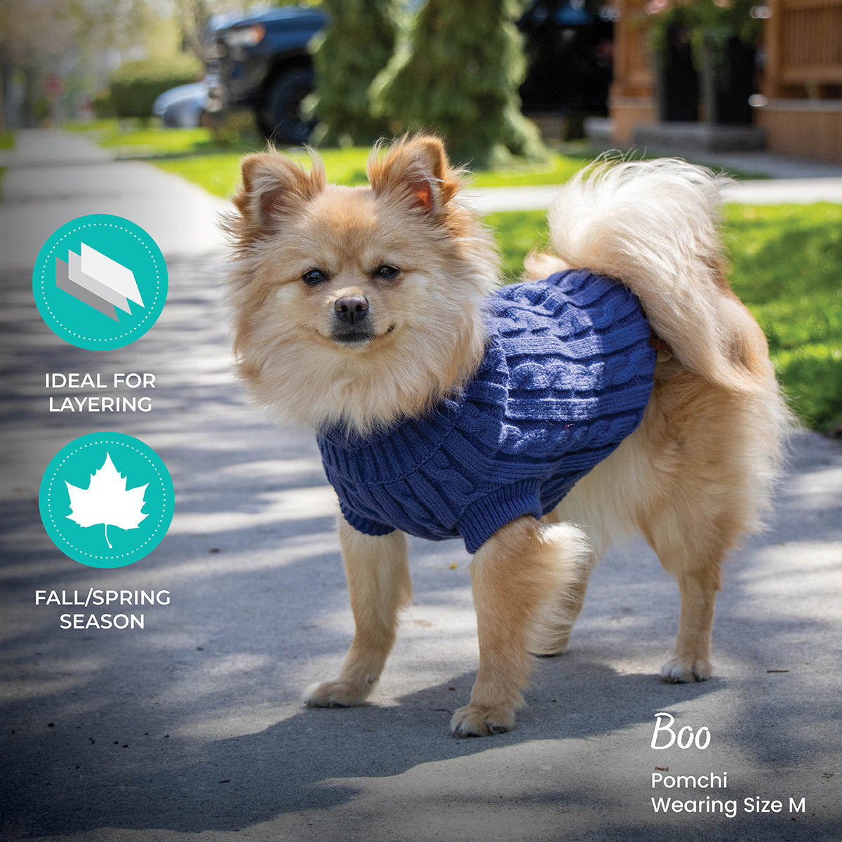Shedrow K9 Brentwood Cable Knit Sweater Plus Blue -  - Shedrow K9 - PetMax Canada