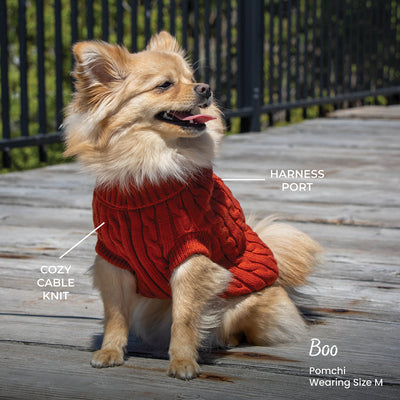 Shedrow K9 Brentwood Cable Knit Sweater Plus Fire Whirl -  - Shedrow K9 - PetMax Canada