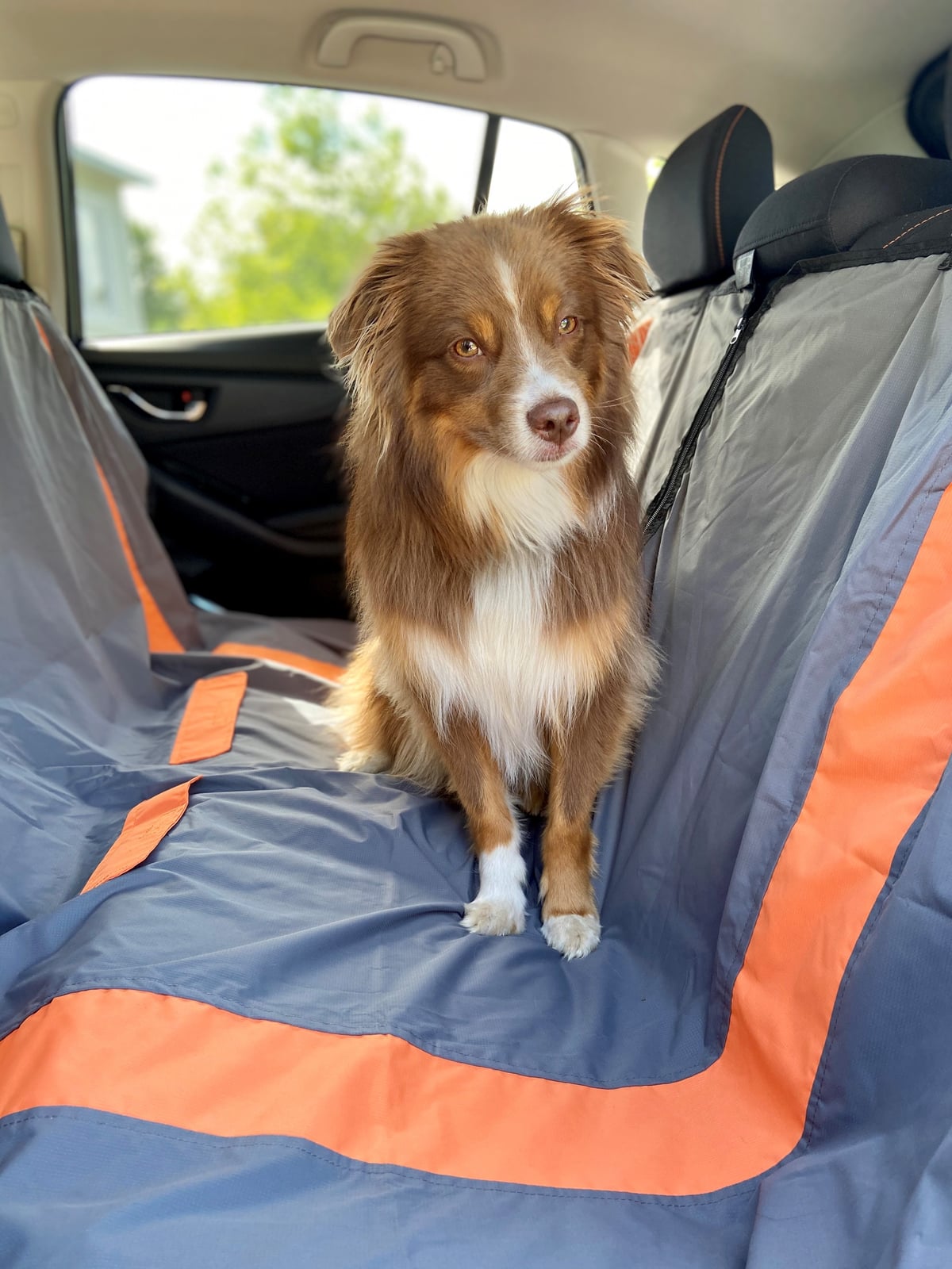 Bud'Z Car Seat Cover Grey & Orange
