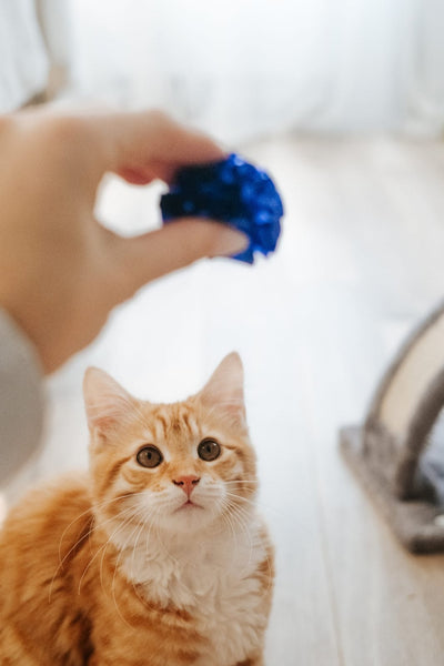Bud Z Cat Toy Bulk Coloured Paper Crinkle Ball