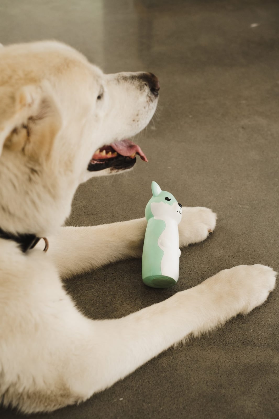 Bud-Z Latex Dog Toy with Recycled Water Bottle Wolf