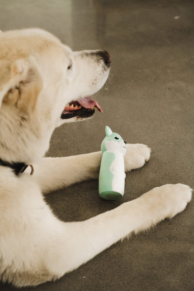 Bud-Z Latex Dog Toy with Recycled Water Bottle Wolf